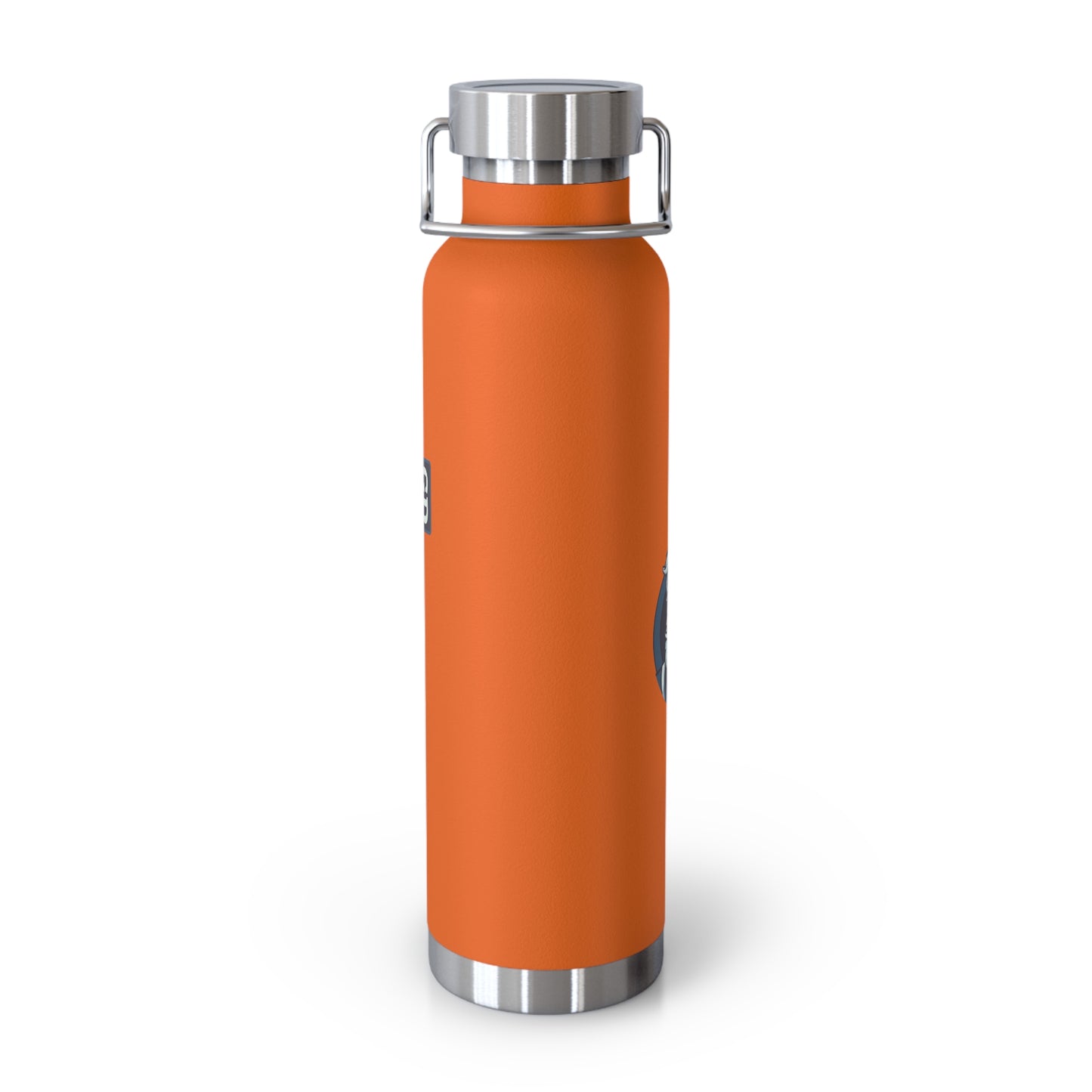 Stay Chill: Copper Vacuum Insulated Bottle (22oz)