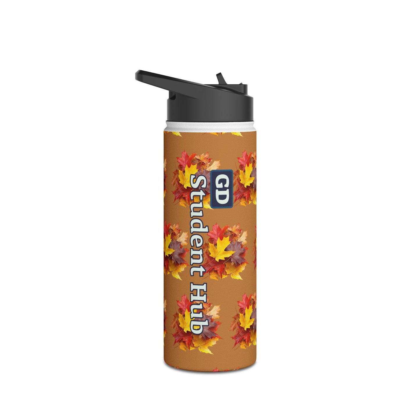 Stay Cool Anywhere: Stainless Steel Water Bottle