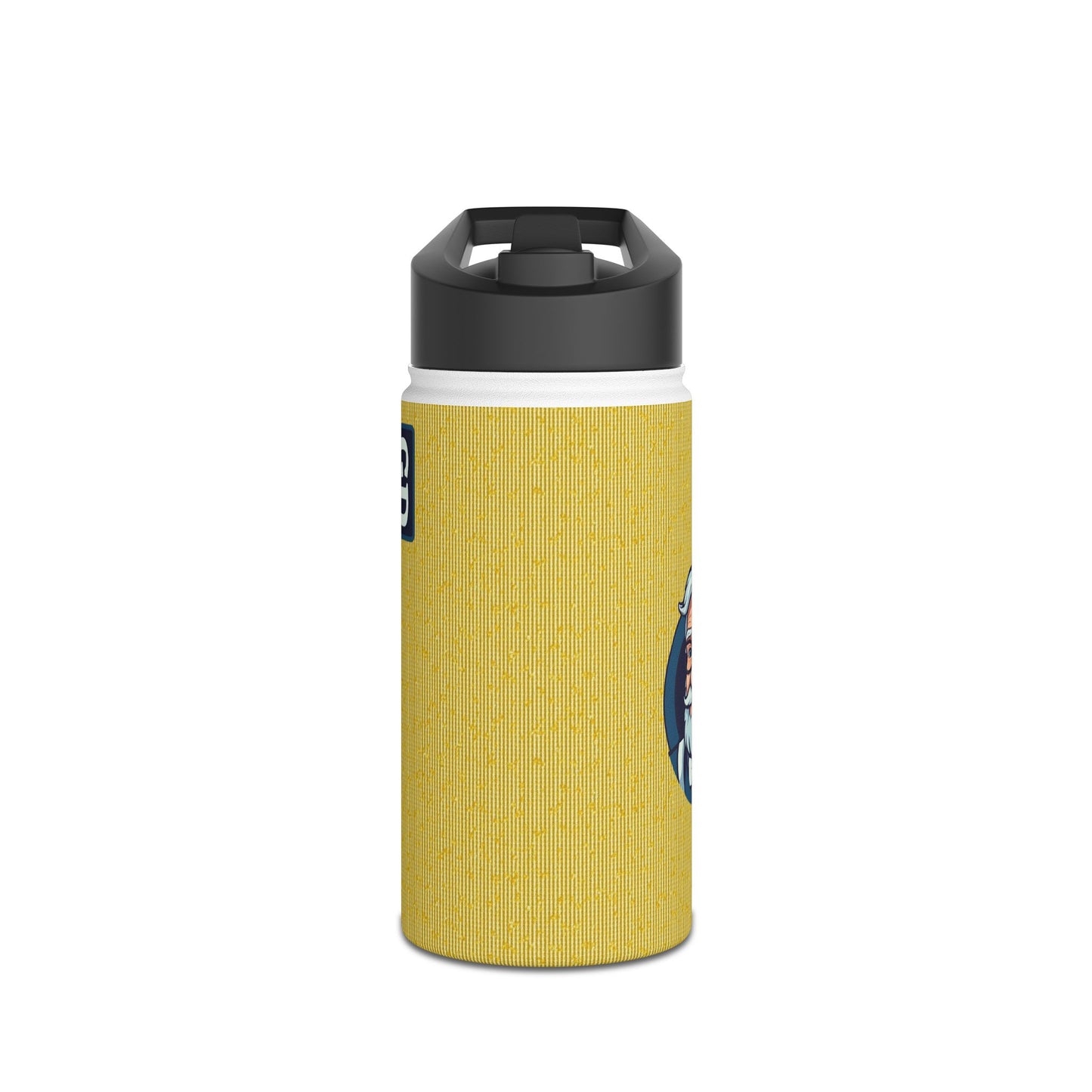 Stay Cool Anywhere: Stainless Steel Water Bottle