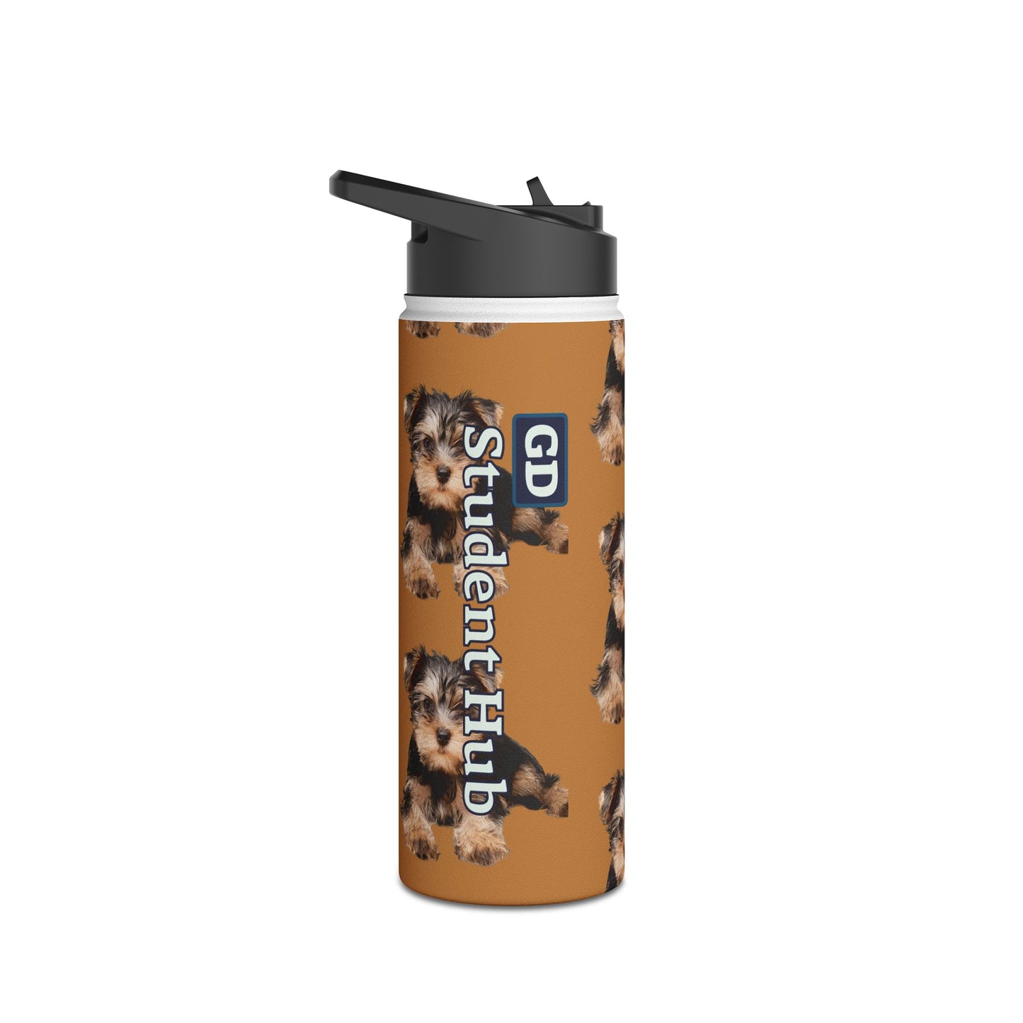 Stay Cool Anywhere: Stainless Steel Water Bottle