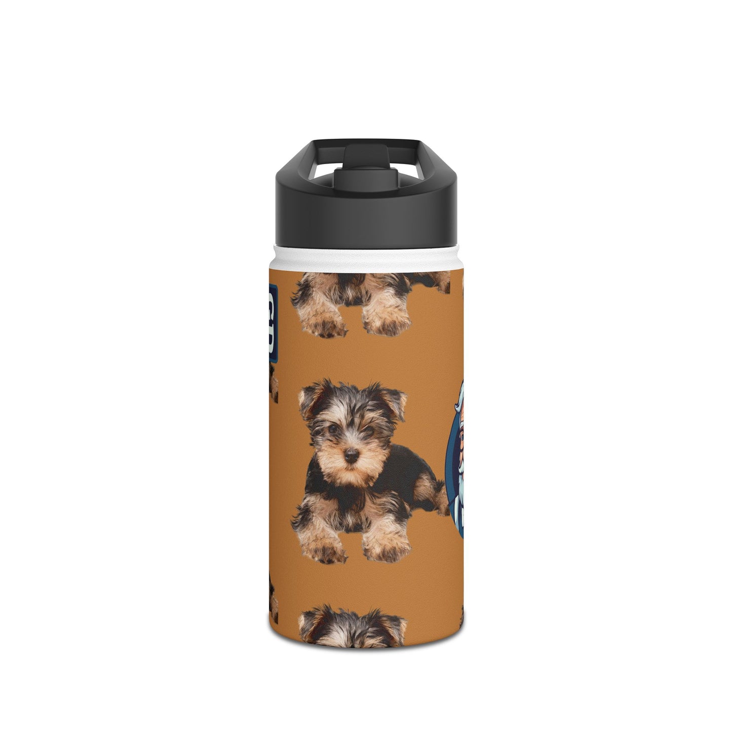 Stay Cool Anywhere: Stainless Steel Water Bottle