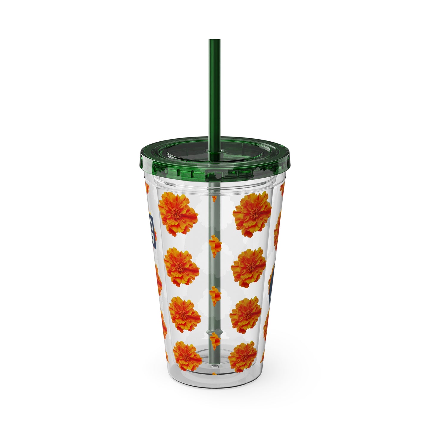 Aesthetic Insulated Tumbler with Straw – 16oz Travel Cup for Trendy Sipping