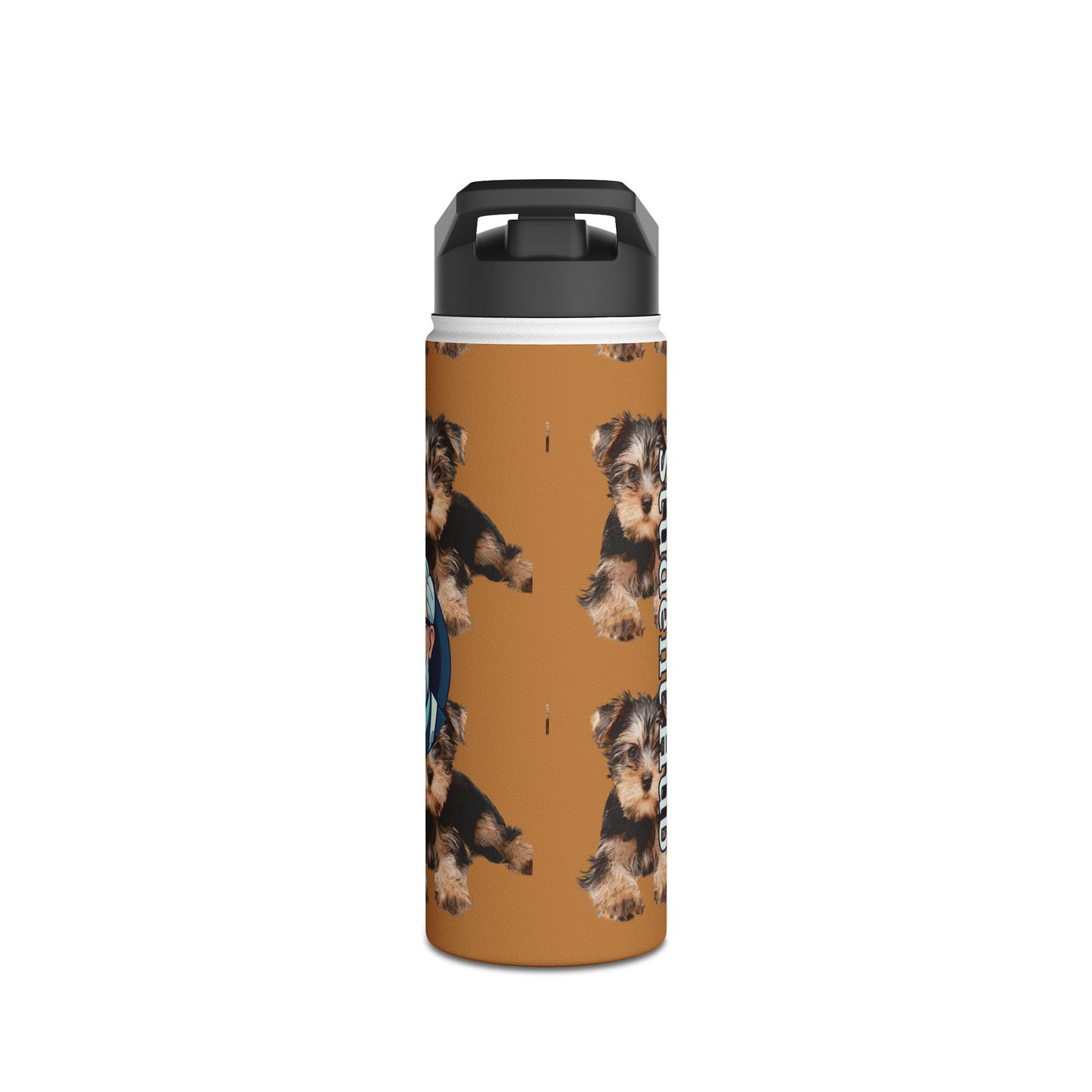Stay Cool Anywhere: Stainless Steel Water Bottle