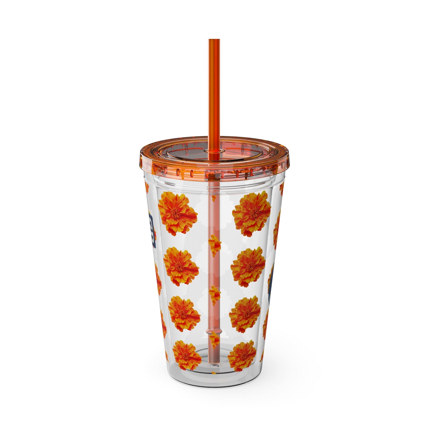 Aesthetic Insulated Tumbler with Straw – 16oz Travel Cup for Trendy Sipping
