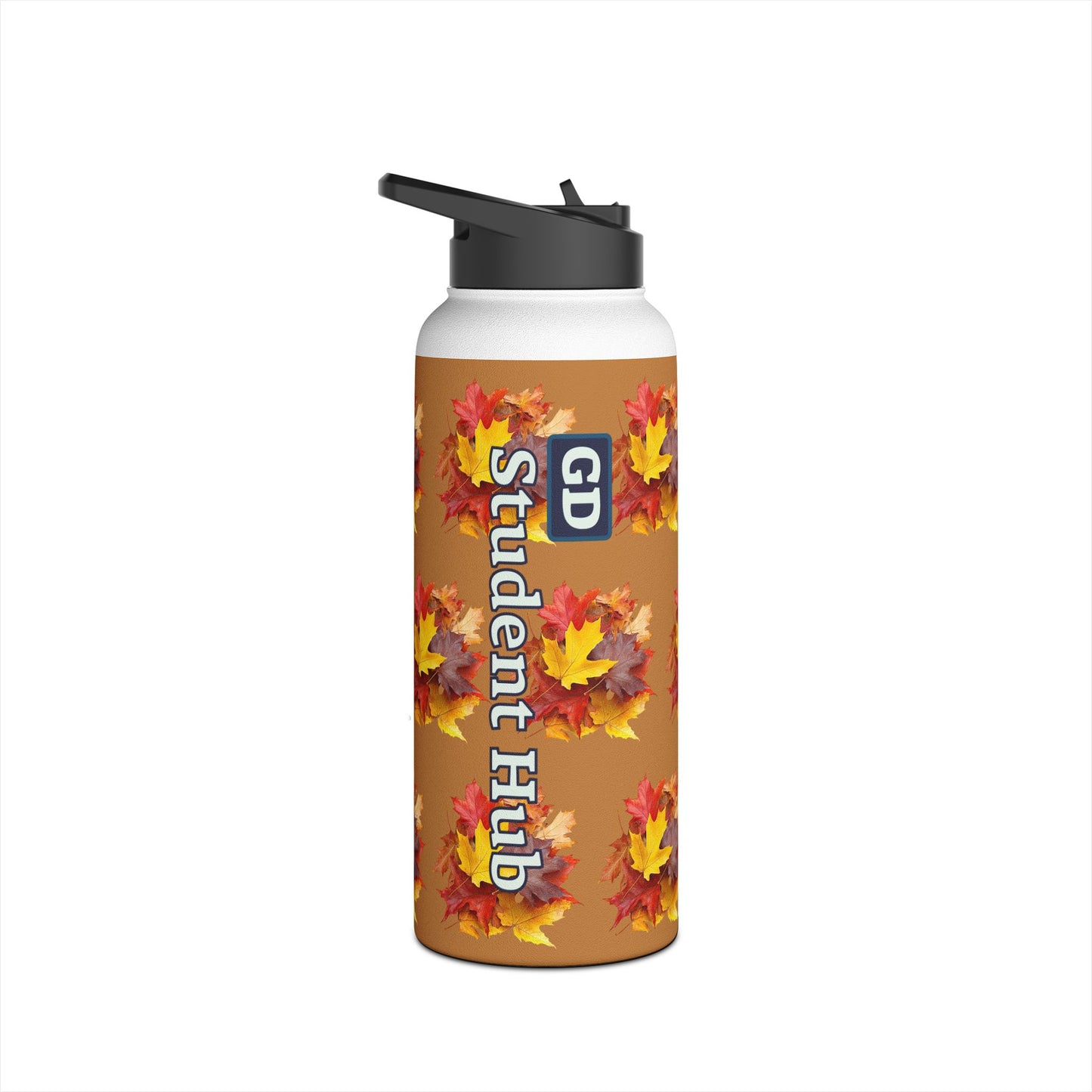 Stay Cool Anywhere: Stainless Steel Water Bottle