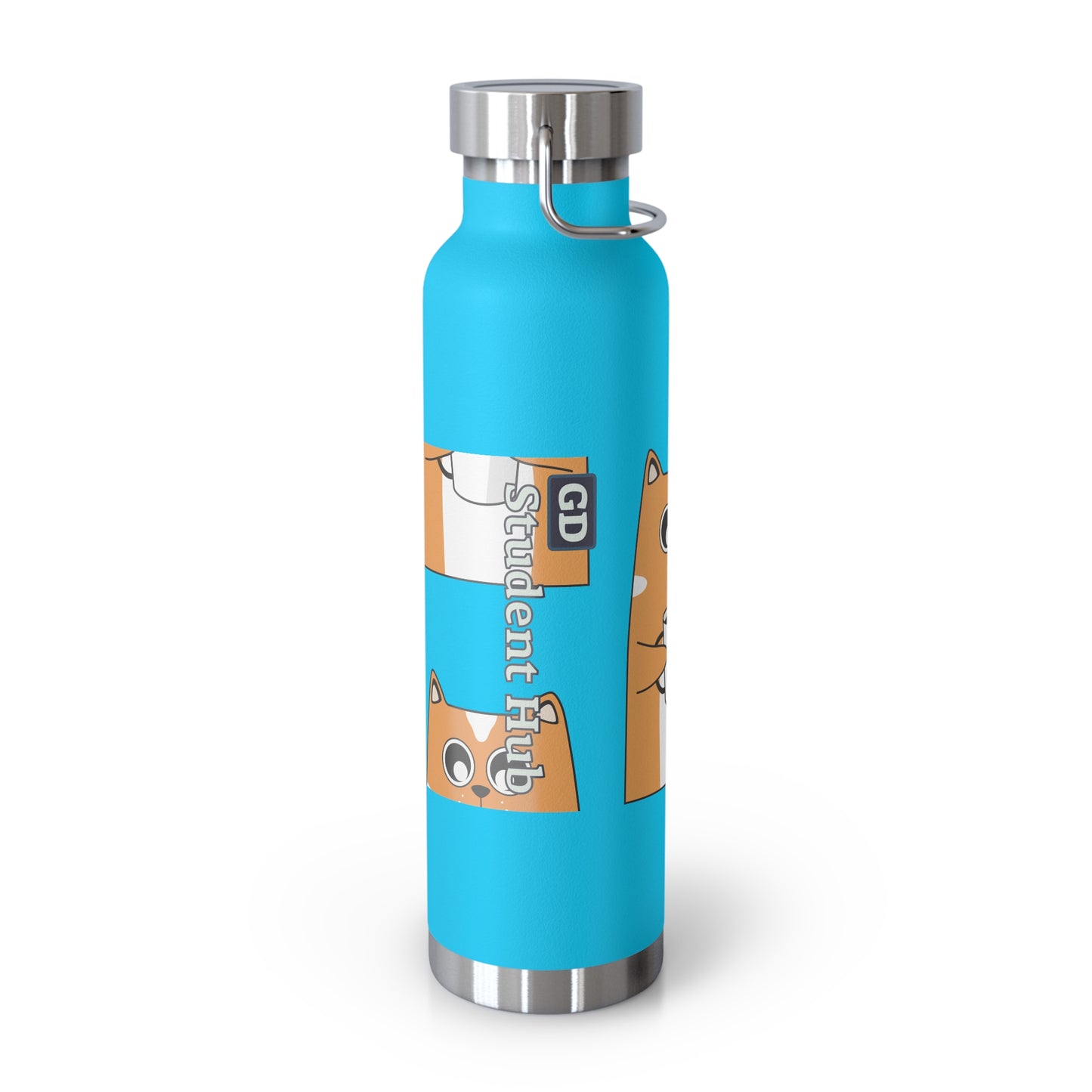 Stay Chill: Copper Vacuum Insulated Bottle (22oz)