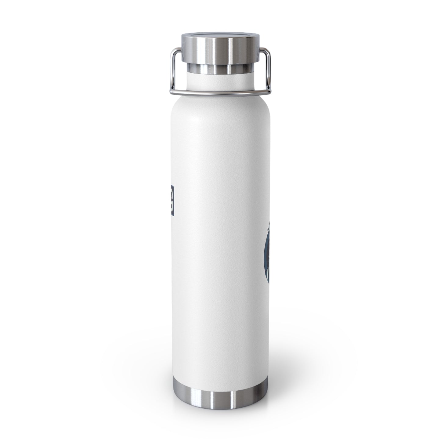 Stay Chill: Copper Vacuum Insulated Bottle (22oz)