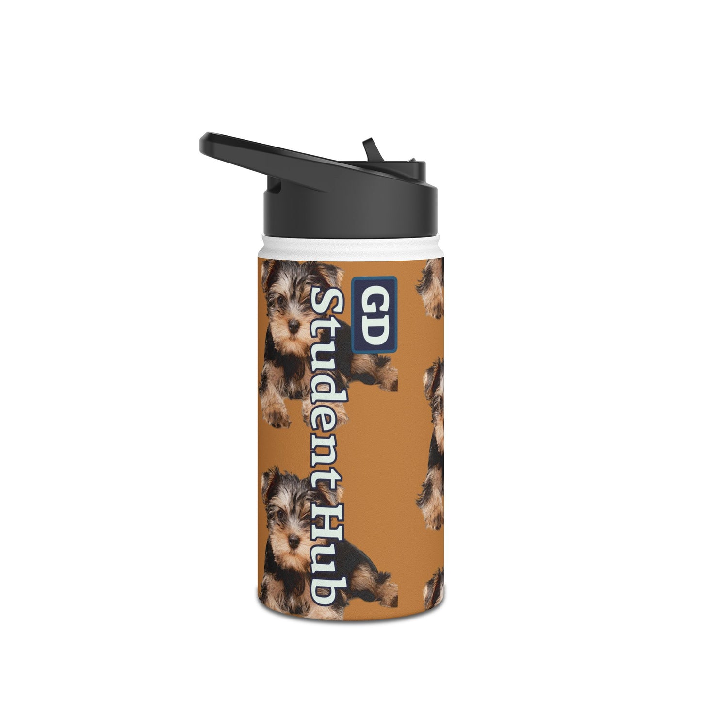 Stay Cool Anywhere: Stainless Steel Water Bottle