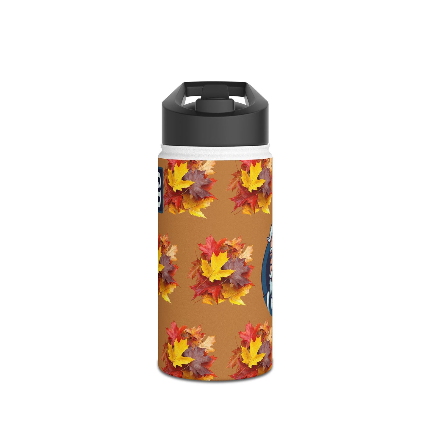 Stay Cool Anywhere: Stainless Steel Water Bottle
