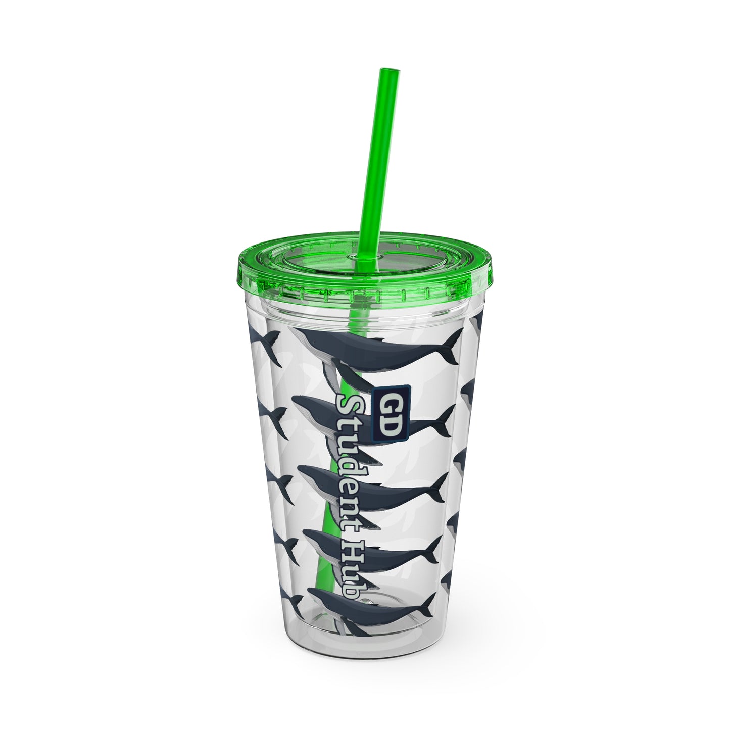 Aesthetic Insulated Tumbler with Straw – 16oz Travel Cup for Trendy Sipping