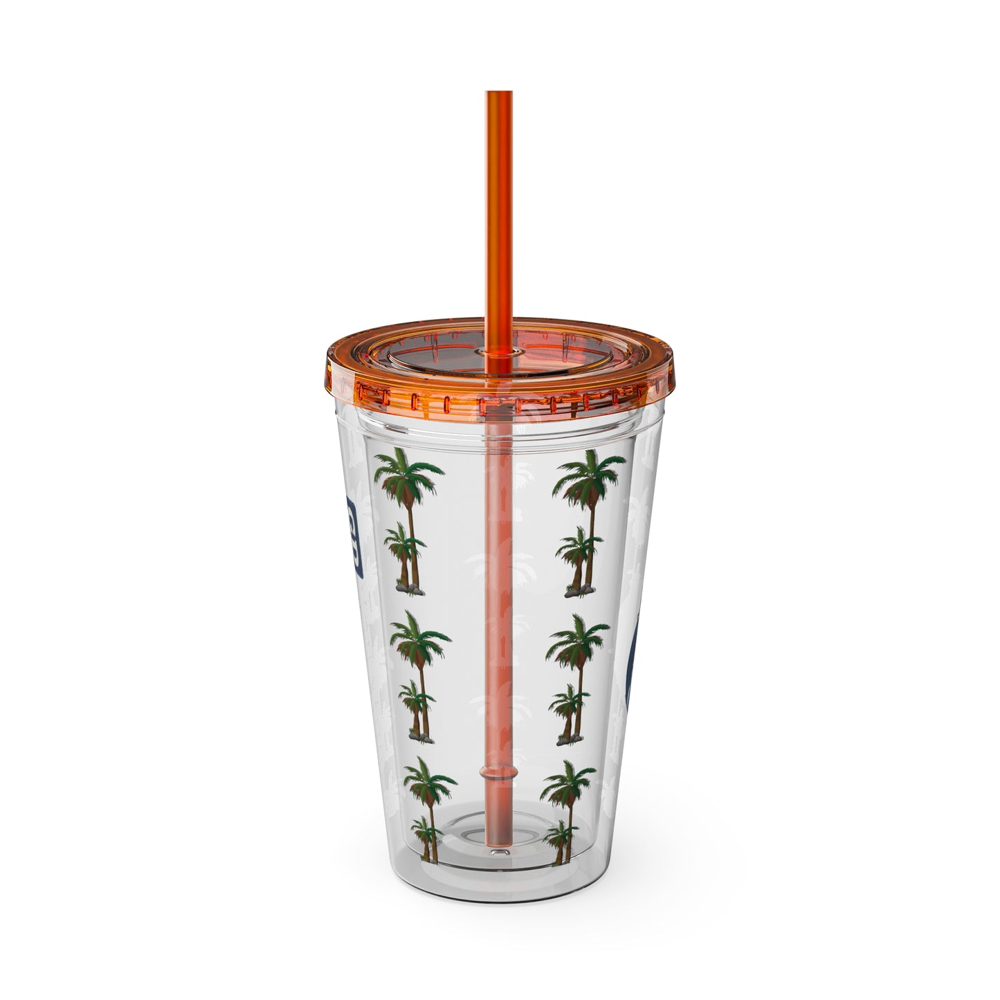 Aesthetic Insulated Tumbler with Straw – 16oz Travel Cup for Trendy Sipping