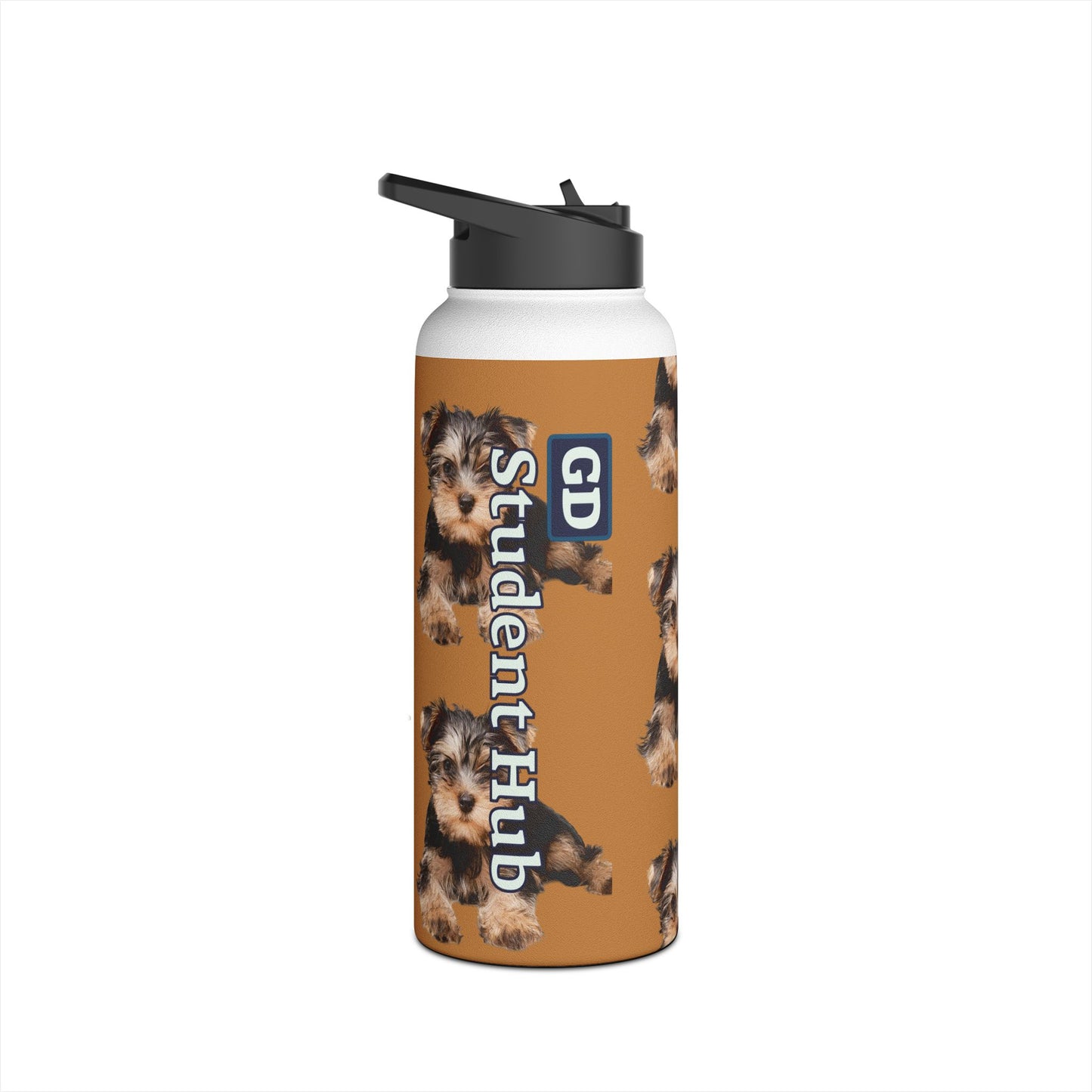 Stay Cool Anywhere: Stainless Steel Water Bottle