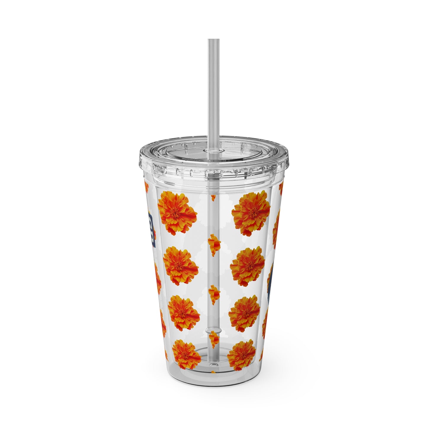Aesthetic Insulated Tumbler with Straw – 16oz Travel Cup for Trendy Sipping