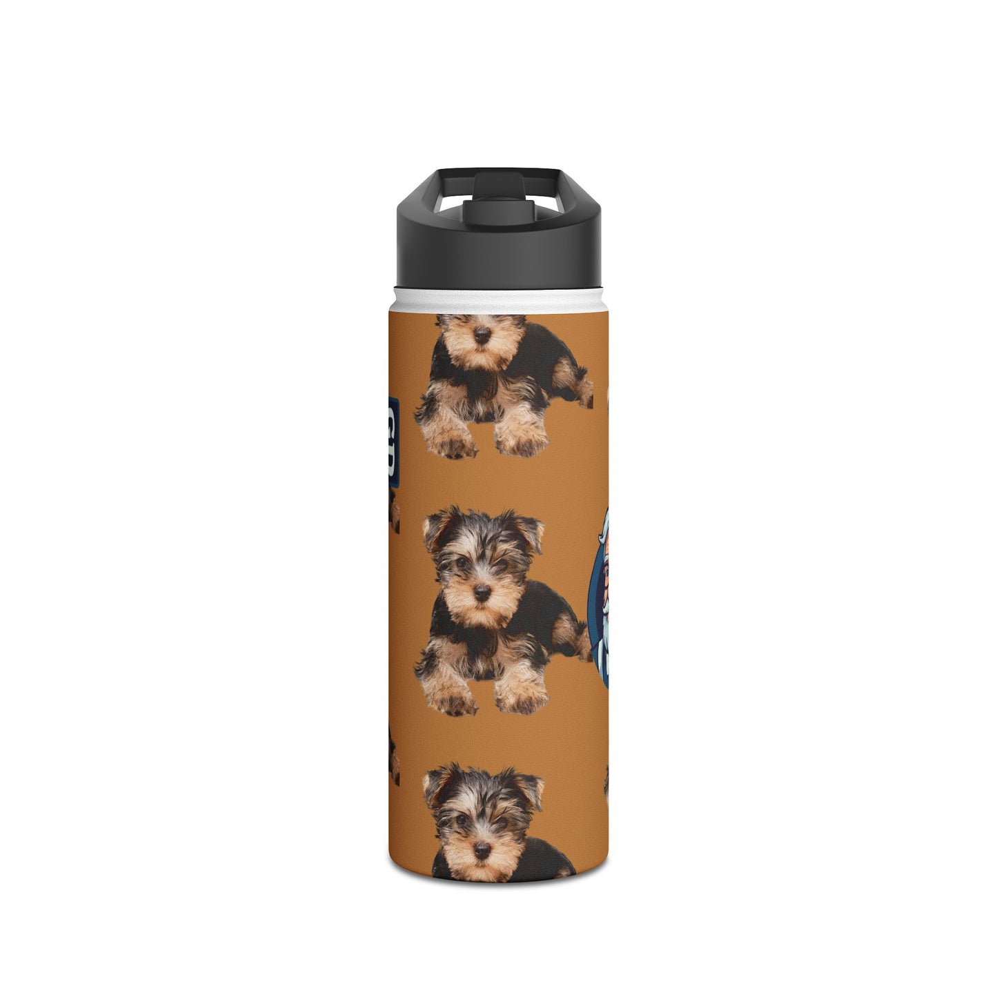 Stay Cool Anywhere: Stainless Steel Water Bottle