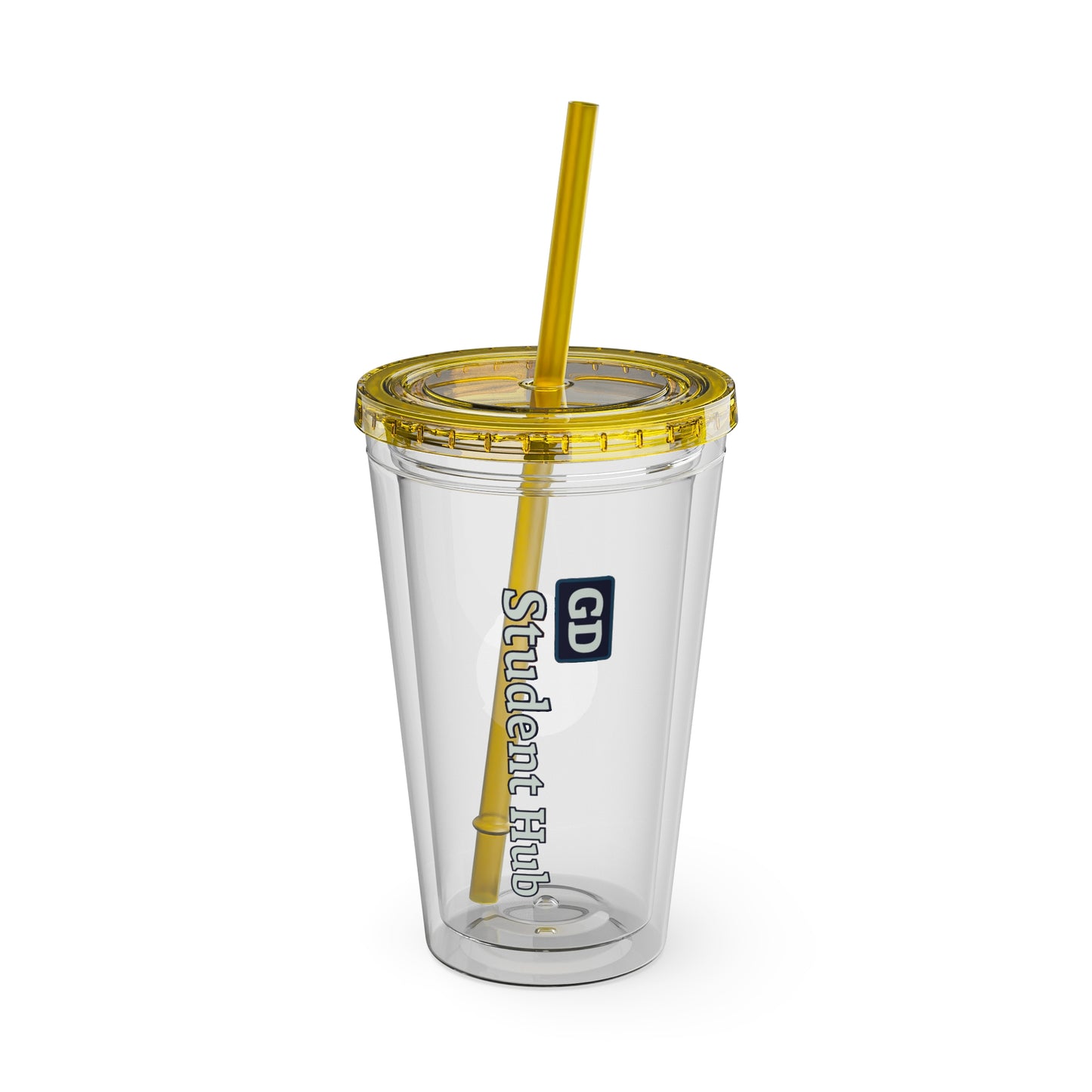 Aesthetic Insulated Tumbler with Straw – 16oz Travel Cup for Trendy Sipping