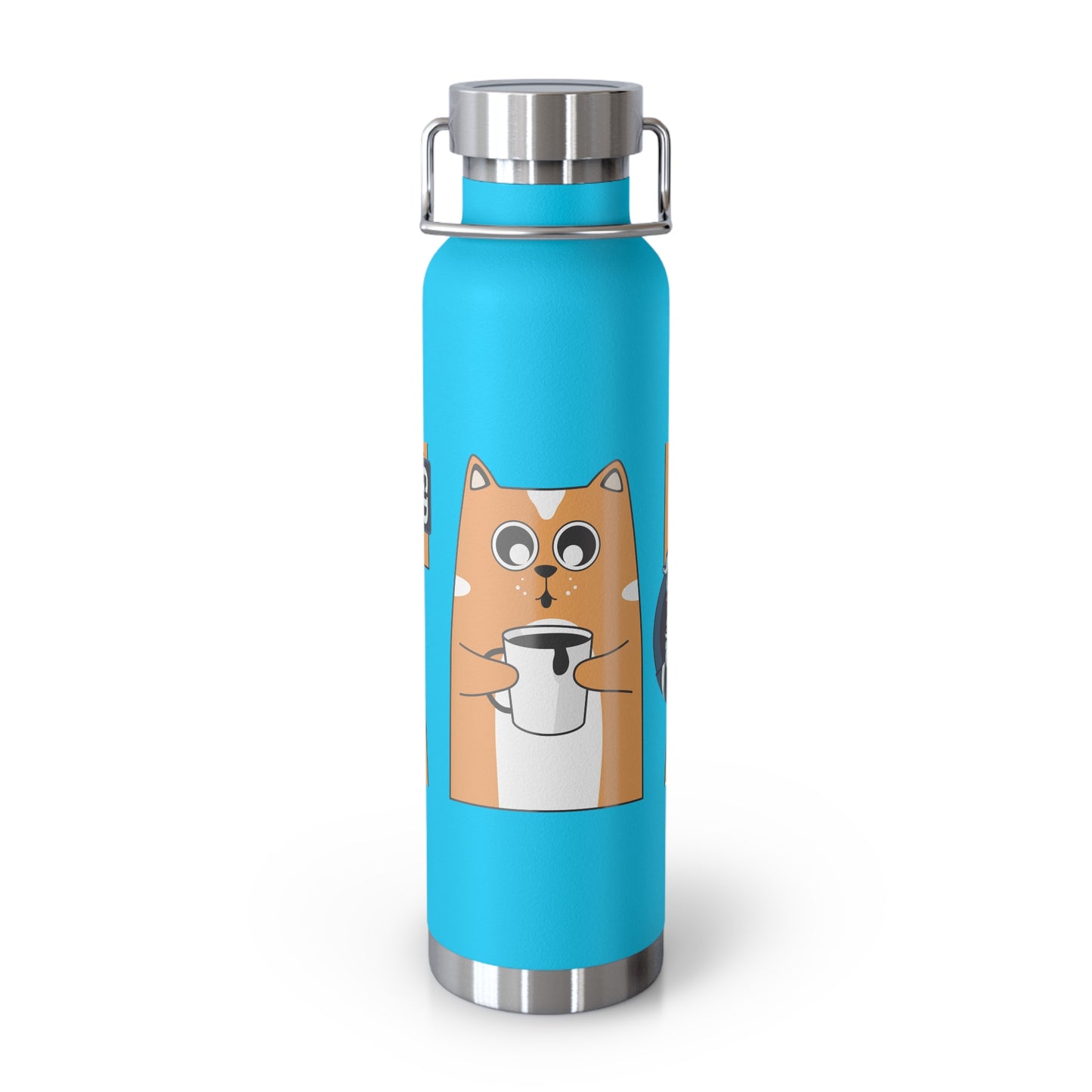 Stay Chill: Copper Vacuum Insulated Bottle (22oz)