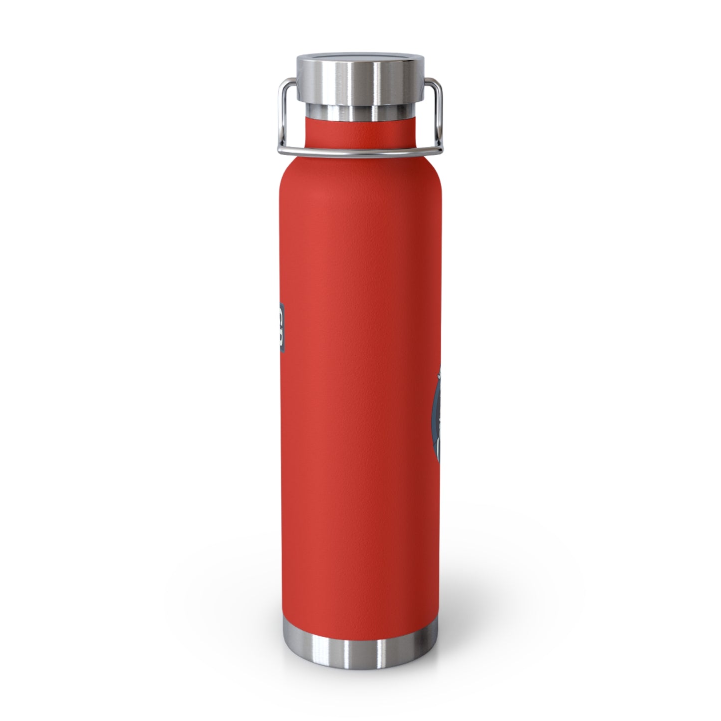 Stay Chill: Copper Vacuum Insulated Bottle (22oz)