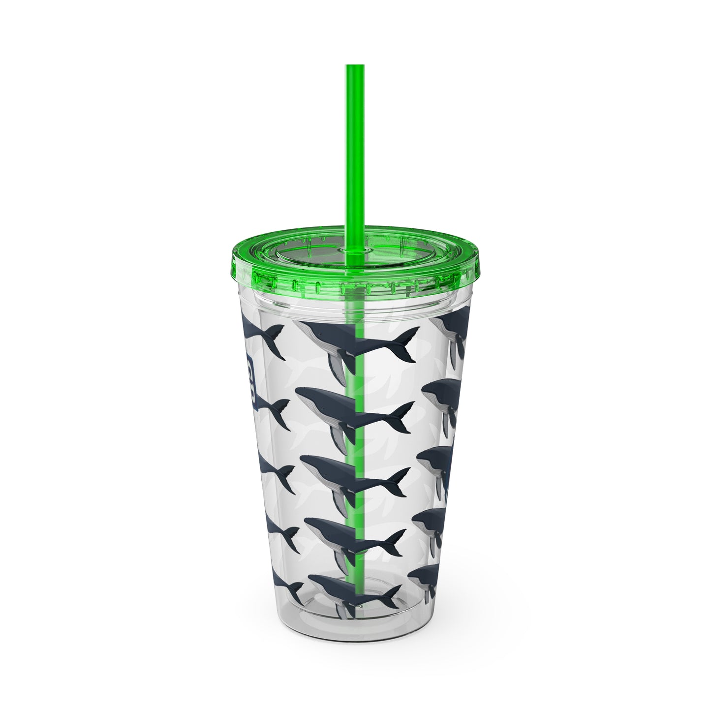 Aesthetic Insulated Tumbler with Straw – 16oz Travel Cup for Trendy Sipping
