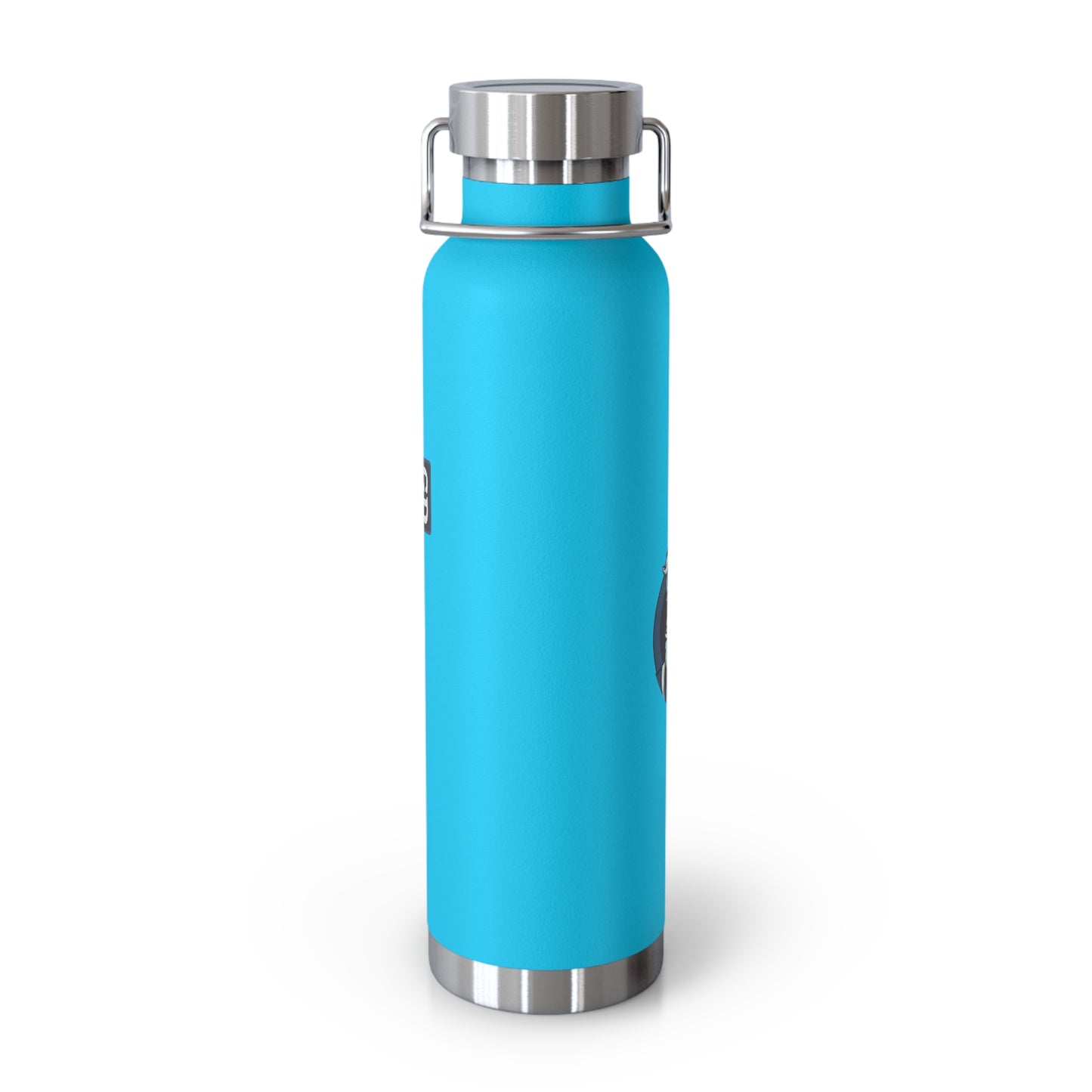 Stay Chill: Copper Vacuum Insulated Bottle (22oz)