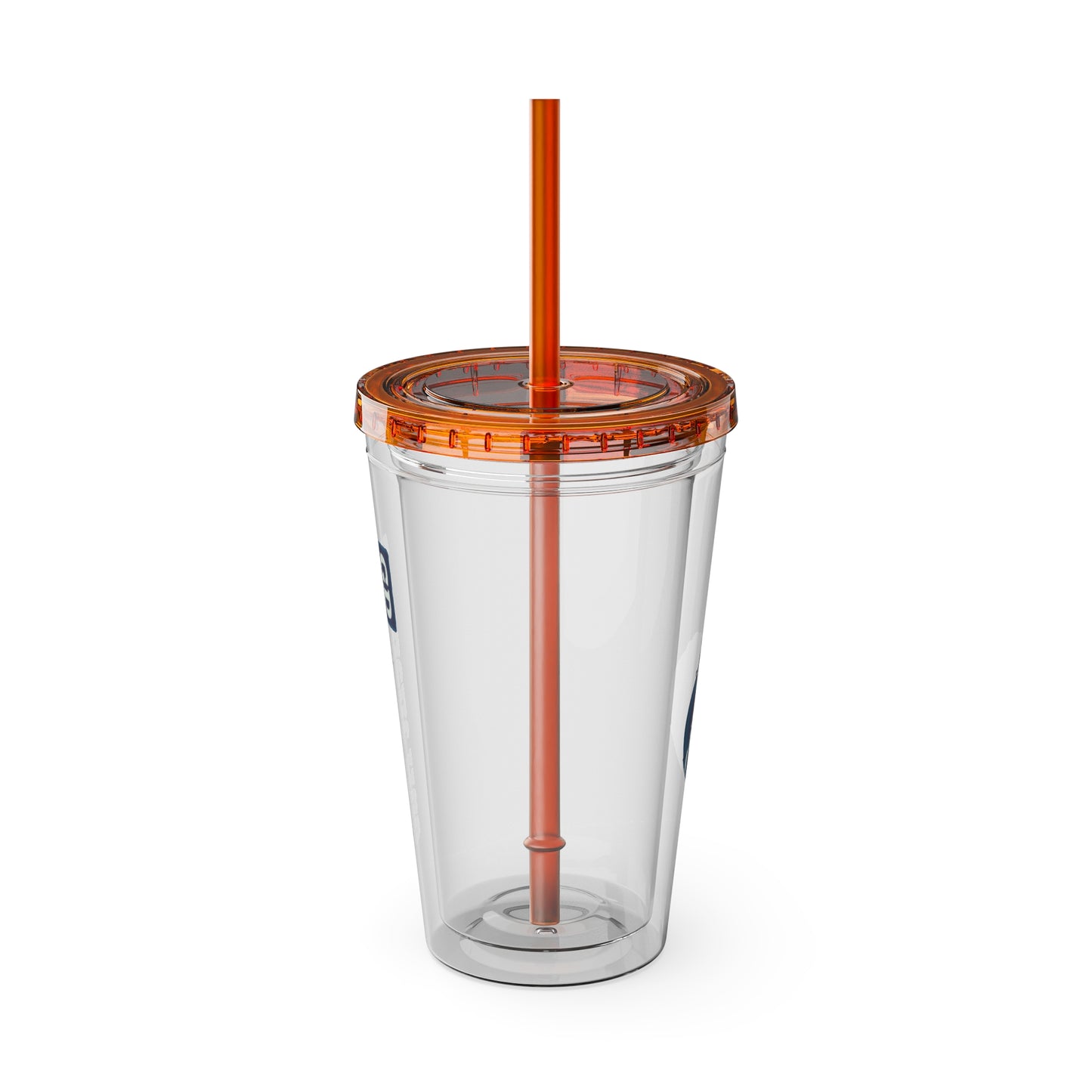 Aesthetic Insulated Tumbler with Straw – 16oz Travel Cup for Trendy Sipping