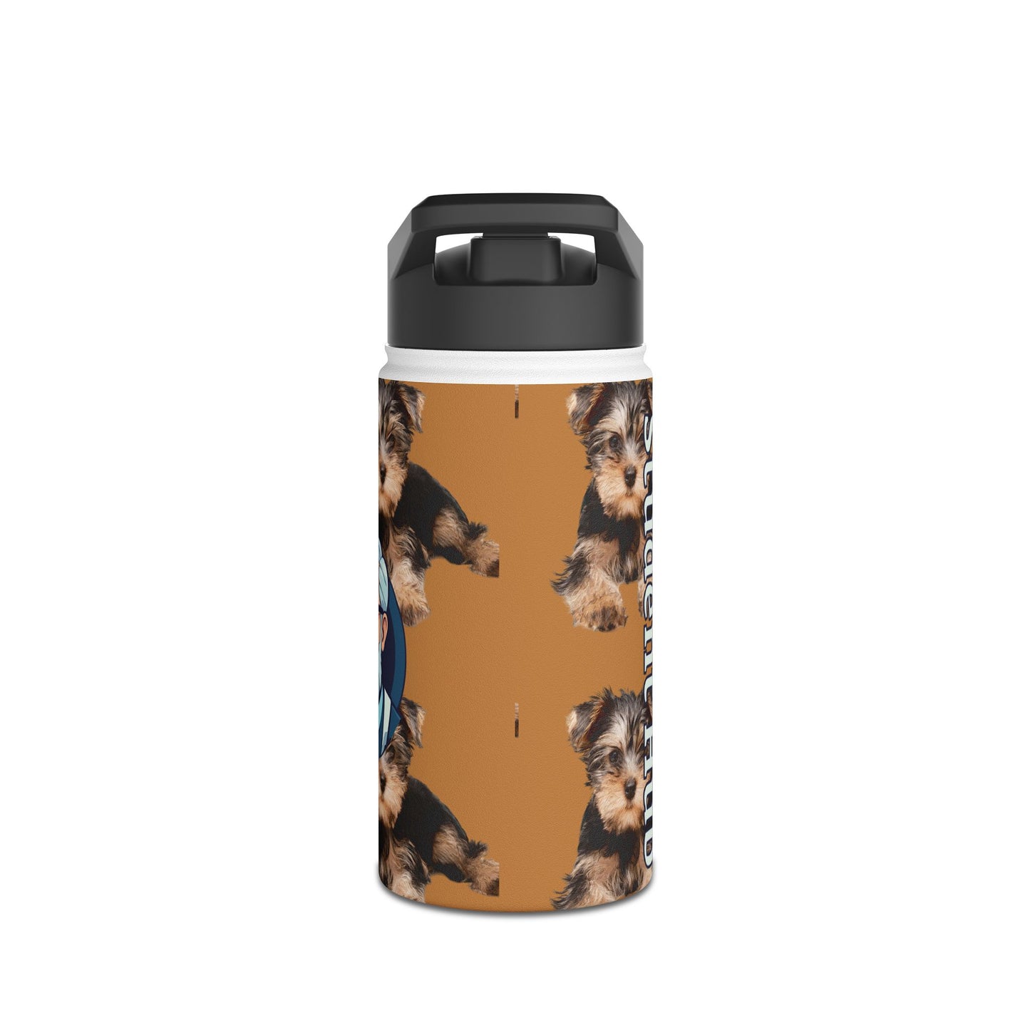 Stay Cool Anywhere: Stainless Steel Water Bottle