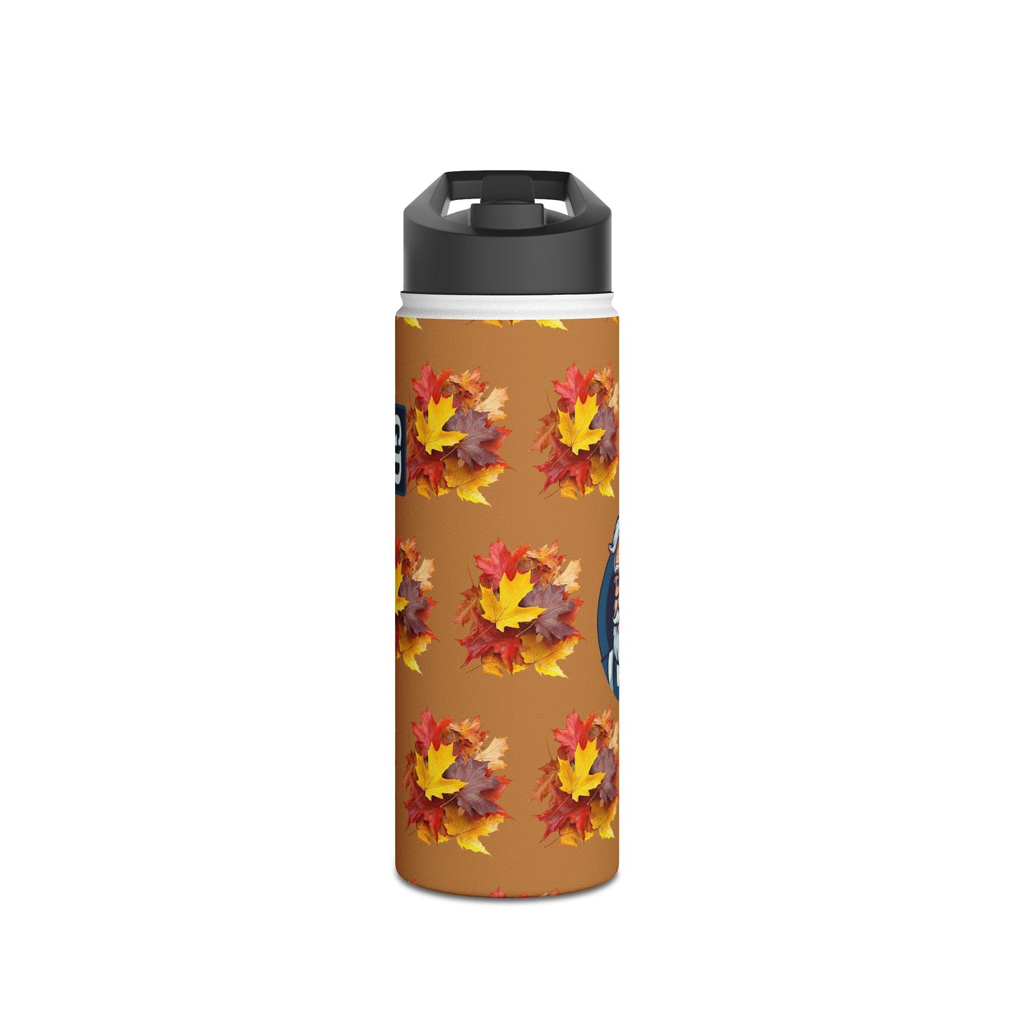 Stay Cool Anywhere: Stainless Steel Water Bottle