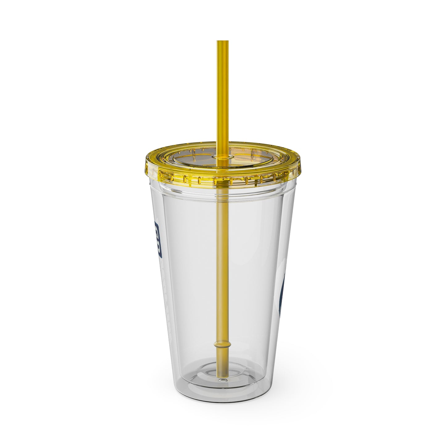 Aesthetic Insulated Tumbler with Straw – 16oz Travel Cup for Trendy Sipping