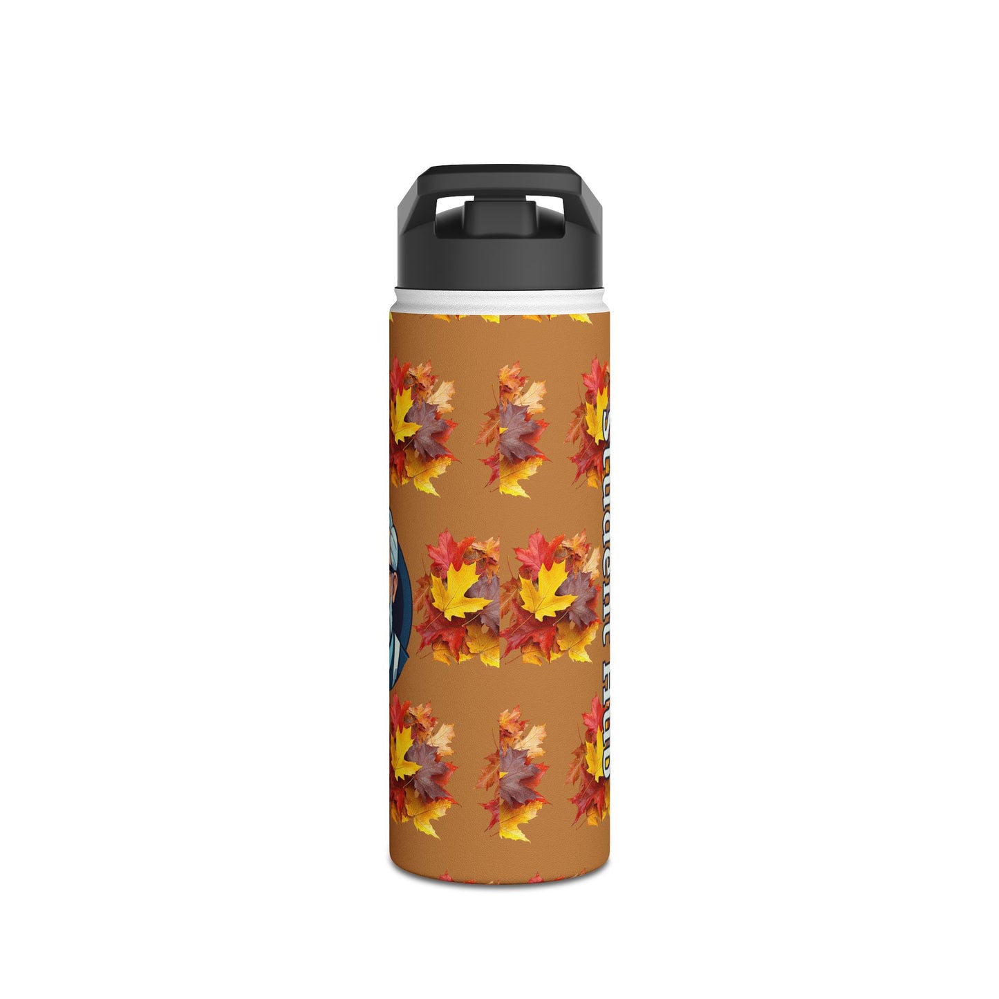 Stay Cool Anywhere: Stainless Steel Water Bottle