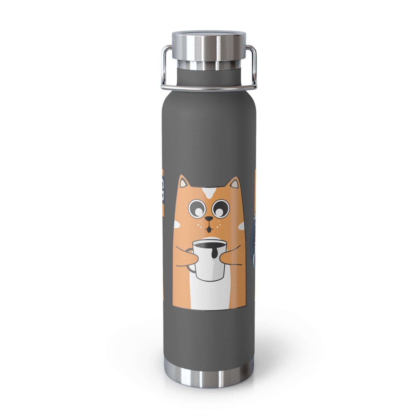 Stay Chill: Copper Vacuum Insulated Bottle (22oz)