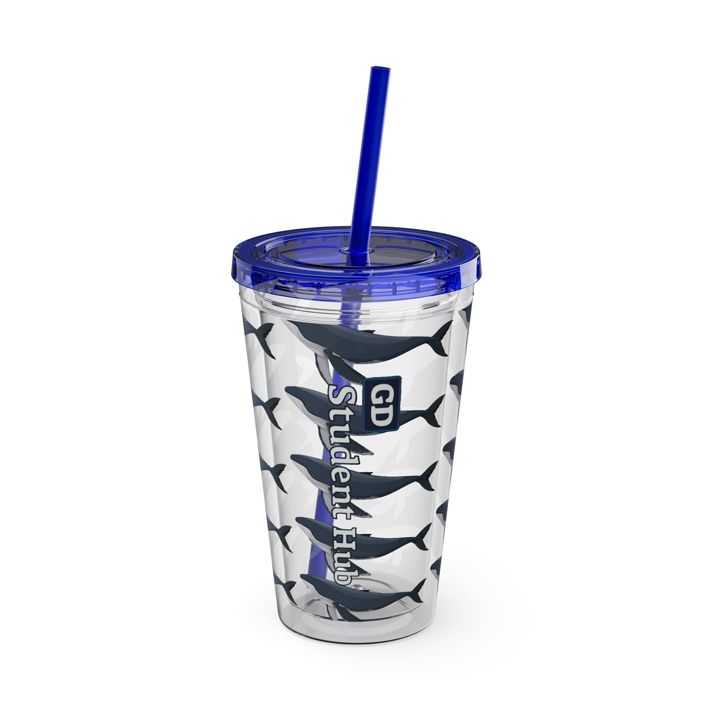 Aesthetic Insulated Tumbler with Straw – 16oz Travel Cup for Trendy Sipping