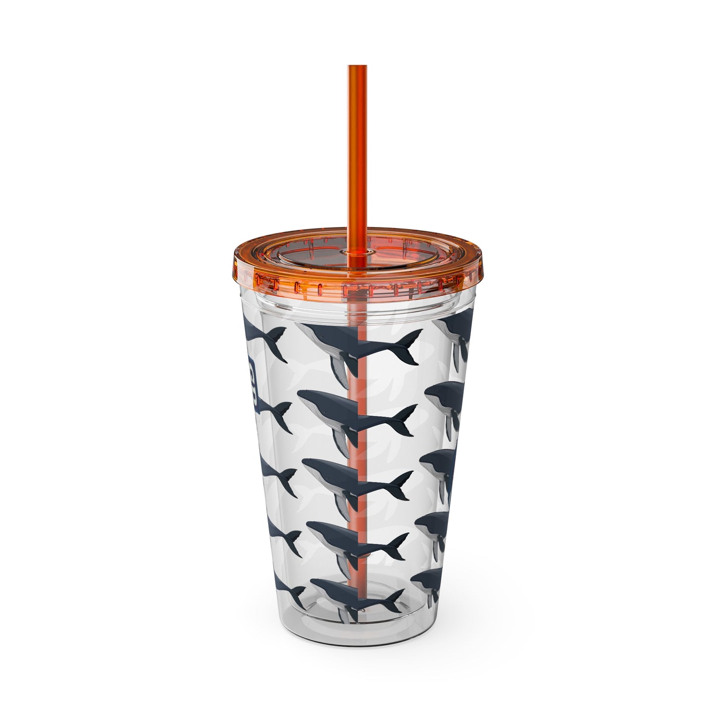 Aesthetic Insulated Tumbler with Straw – 16oz Travel Cup for Trendy Sipping