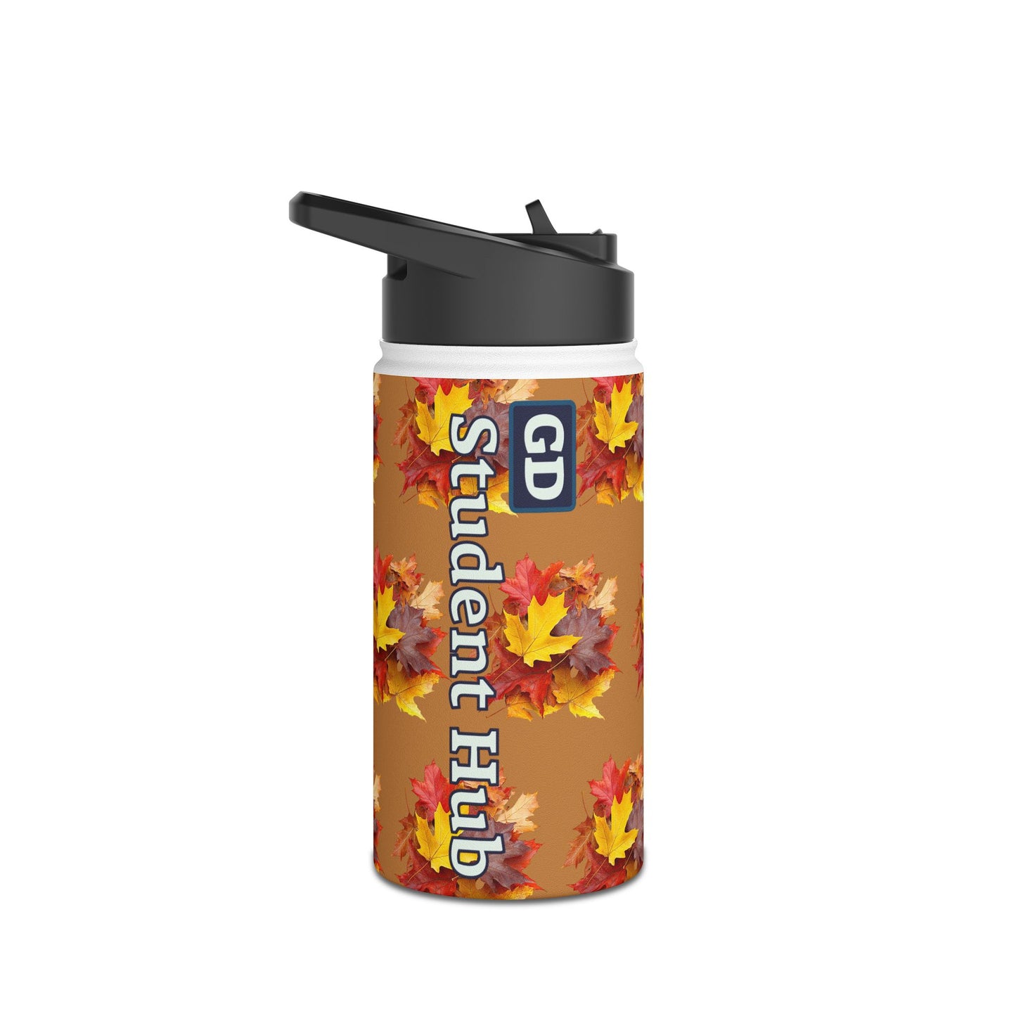 Stay Cool Anywhere: Stainless Steel Water Bottle