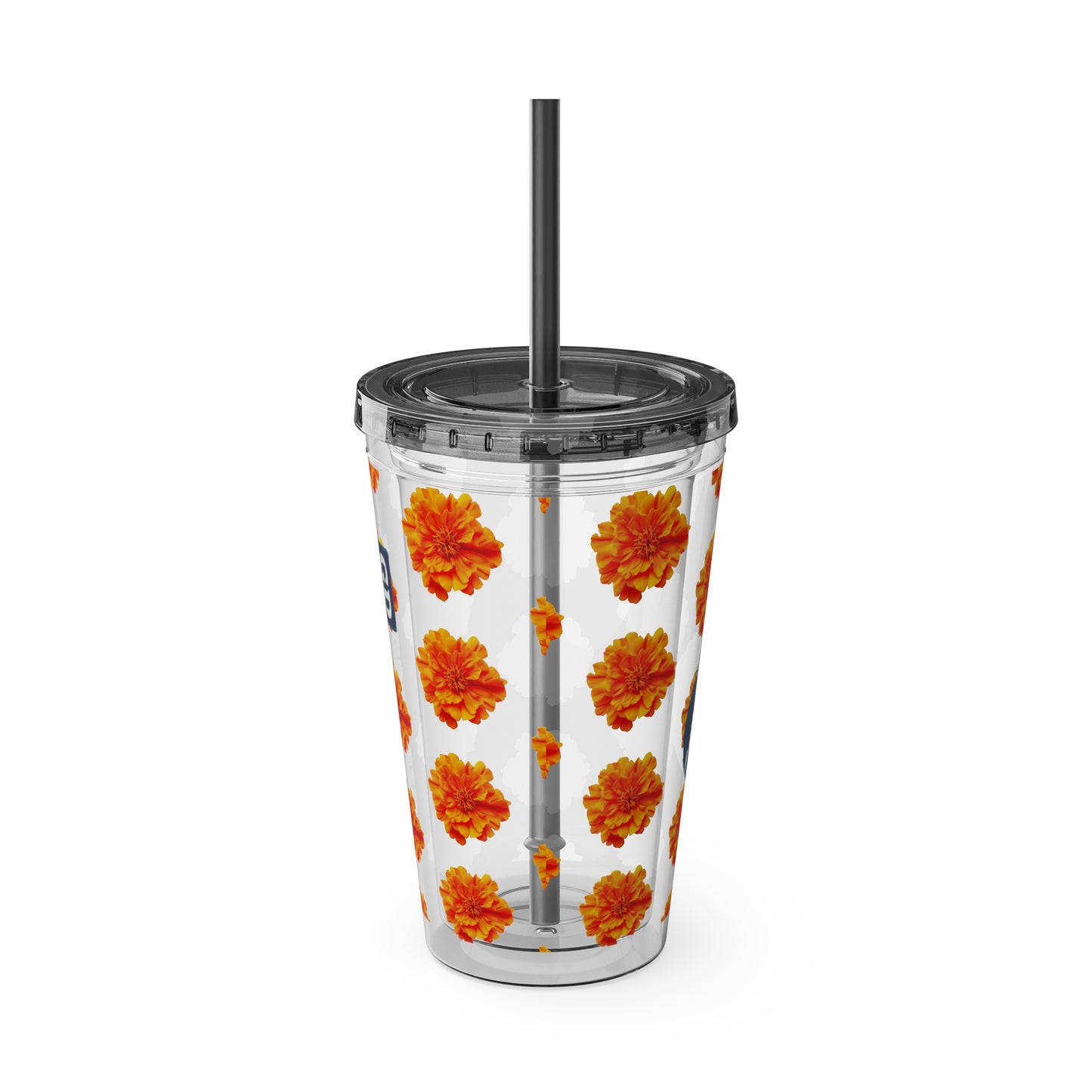 Aesthetic Insulated Tumbler with Straw – 16oz Travel Cup for Trendy Sipping