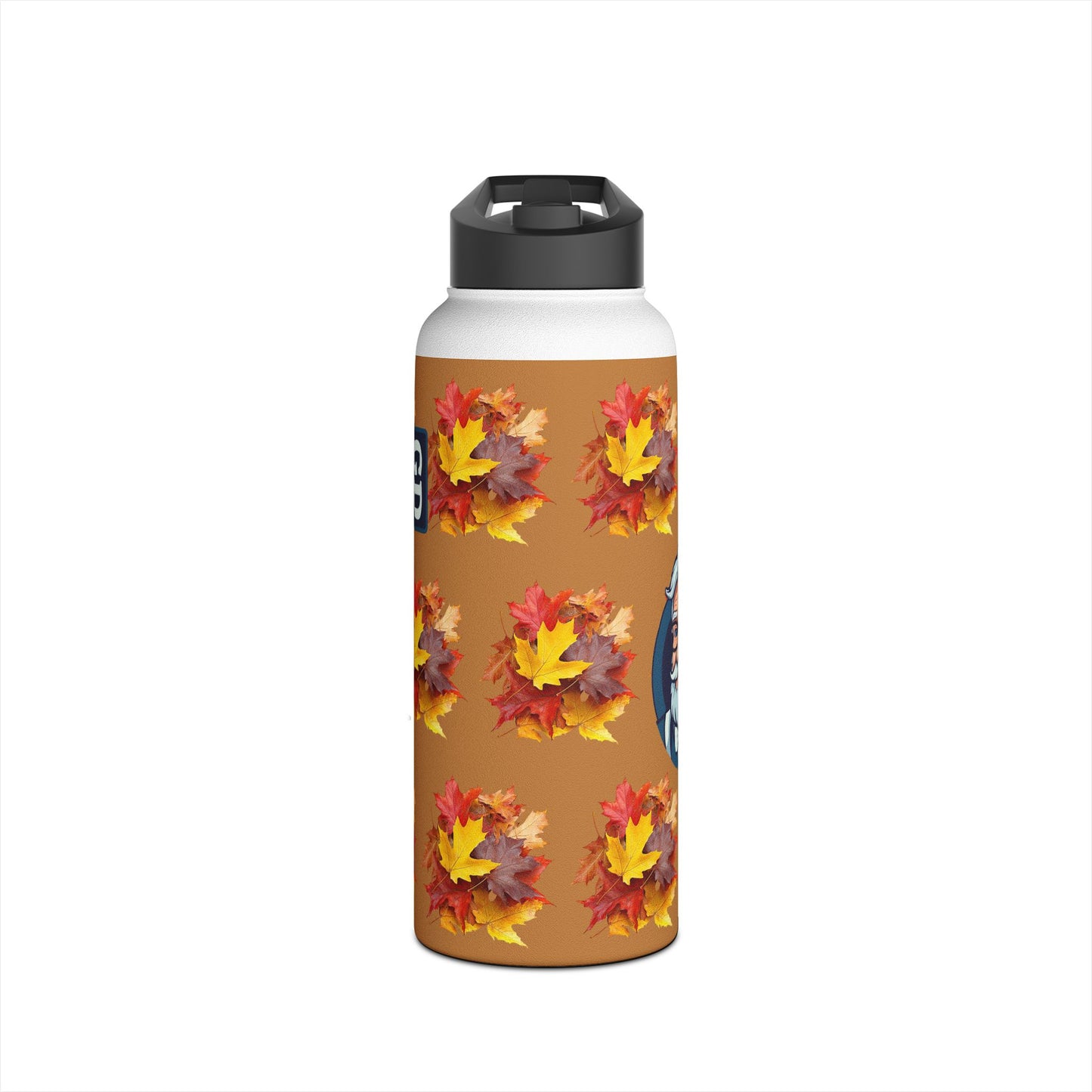 Stay Cool Anywhere: Stainless Steel Water Bottle