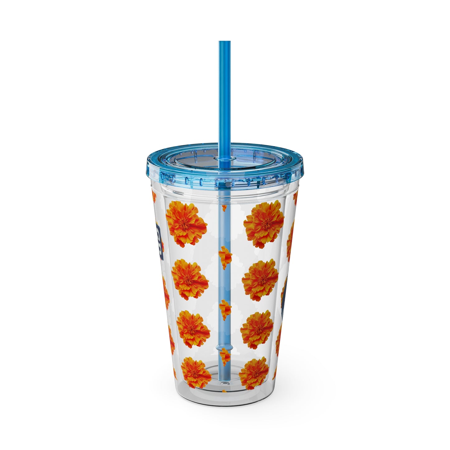 Aesthetic Insulated Tumbler with Straw – 16oz Travel Cup for Trendy Sipping