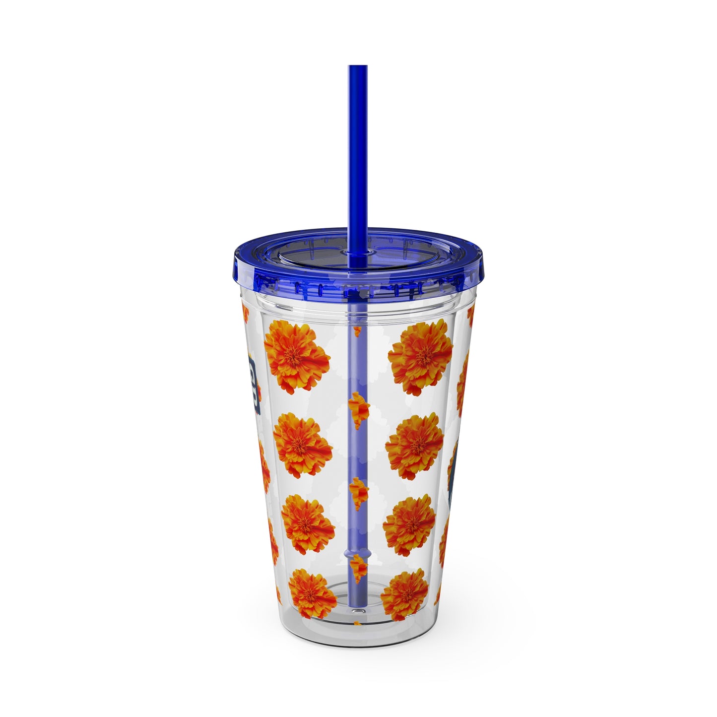 Aesthetic Insulated Tumbler with Straw – 16oz Travel Cup for Trendy Sipping