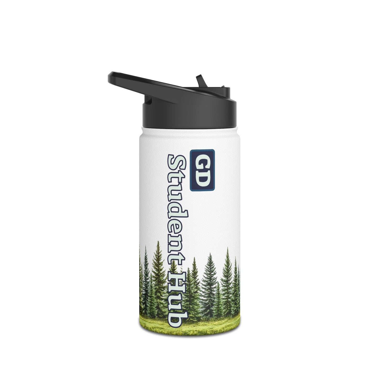 Stay Cool Anywhere: Stainless Steel Water Bottle
