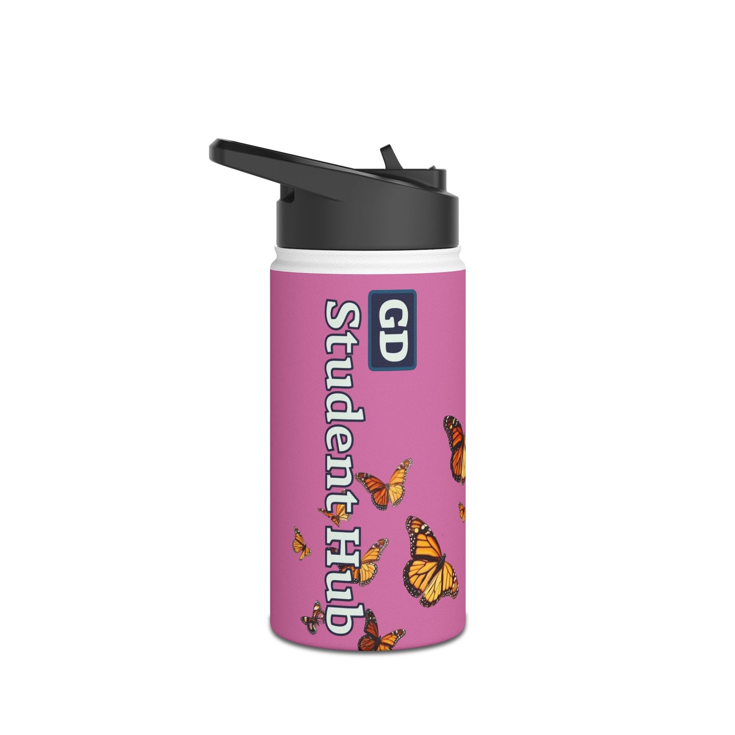 Stay Cool Anywhere: Stainless Steel Water Bottle